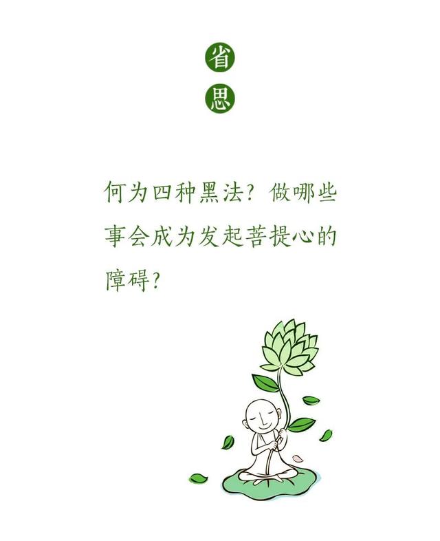 因果视频讲座视频（佛教讲座视频因果关系）插图2